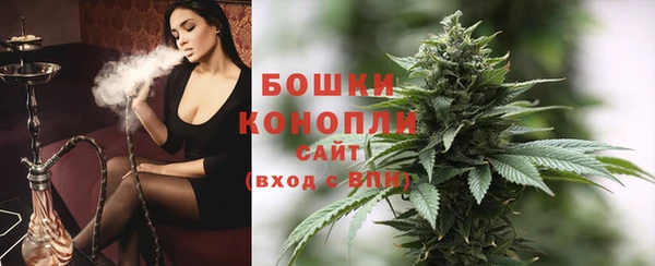 бошки Осинники