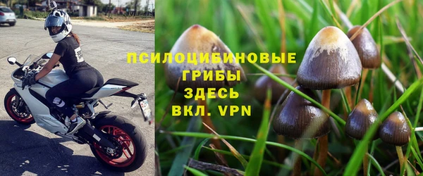 бошки Осинники
