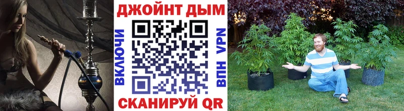 цена наркотик Рудня Канабис Amnesia